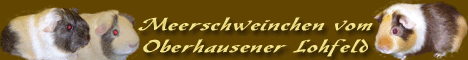 Banner f�r Iris Nr.2