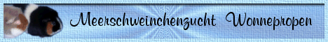 anibanner