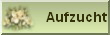 Aufzucht
