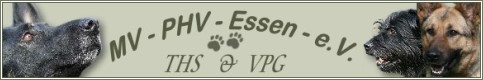 bannerphv2