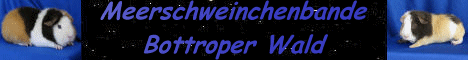 meerbanner1